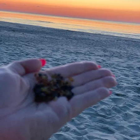 Jantarowe Zacisze Rose Apartment *