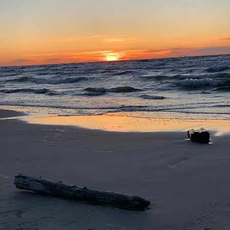 Jantarowe Zacisze Rose *