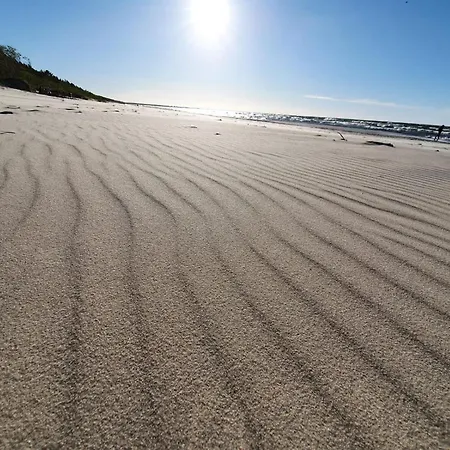 Jantarowe Zacisze Rose * Jantar