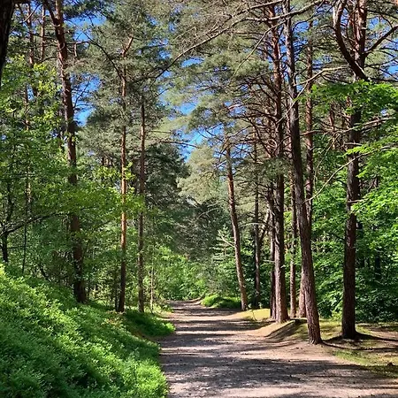 Jantarowe Zacisze Rose Διαμέρισμα