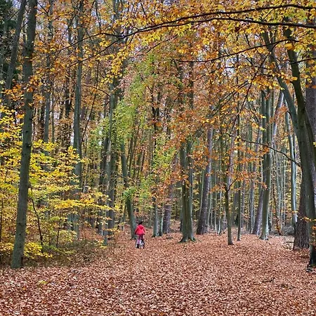 Διαμέρισμα Jantarowe Zacisze Rose