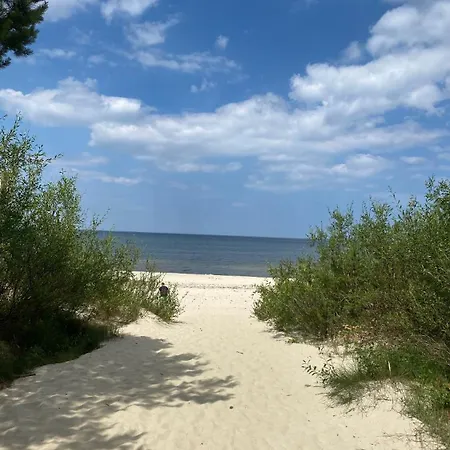 Jantarowe Zacisze Rose