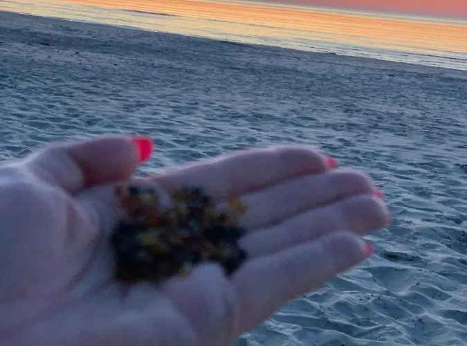 Jantarowe Zacisze Rose Apartmán *