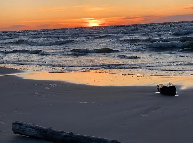 Jantarowe Zacisze Rose *