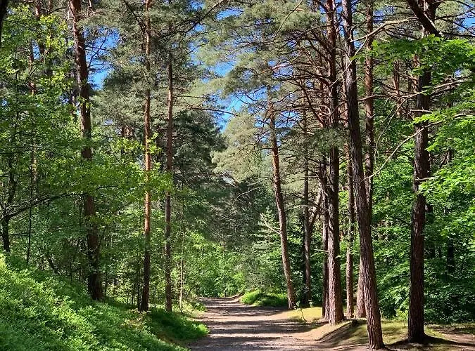 Jantarowe Zacisze Rose Apartmán