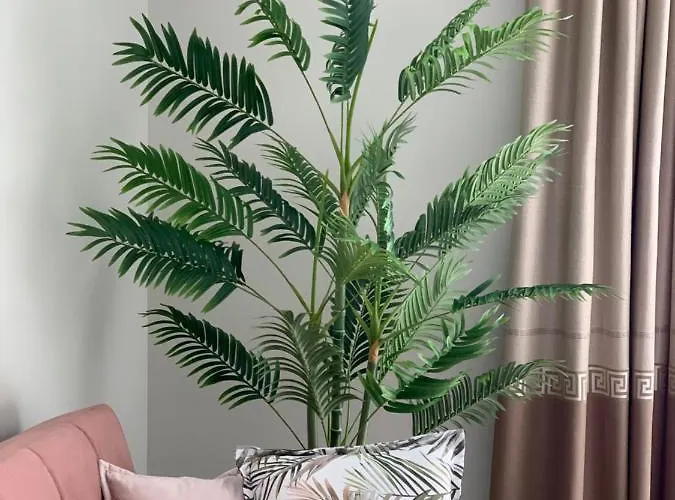 Apartmán Jantarowe Zacisze Rose *