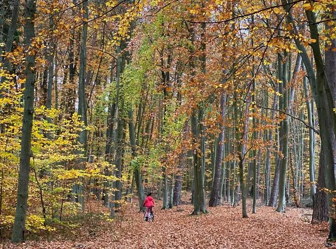 Apartmán Jantarowe Zacisze Rose