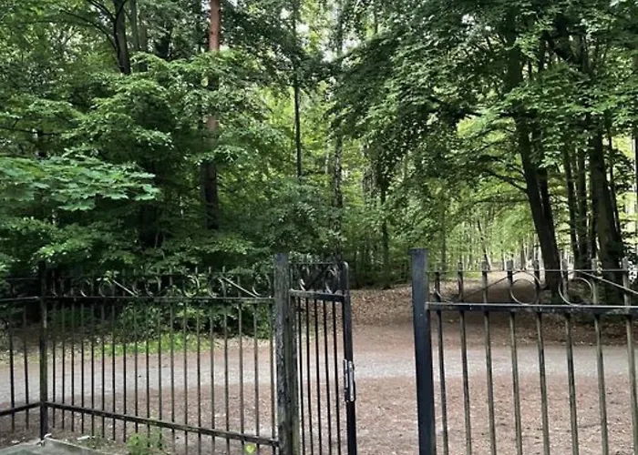 Jantarowe Zacisze Rose